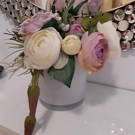 Beautiful New Bubli *